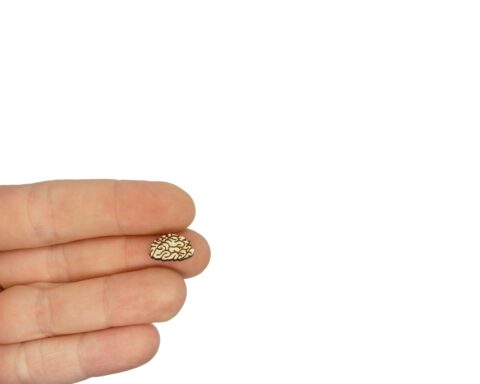 Brains Wood Stud Earring Blanks