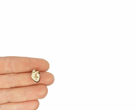Anatomical Hearts Wood Stud Earring Blanks
