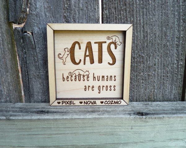 Cats Because 01